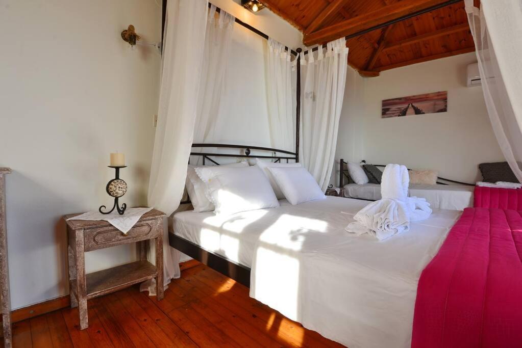 Iordanis House- Traditional House In Old Alonnisos 外观 照片